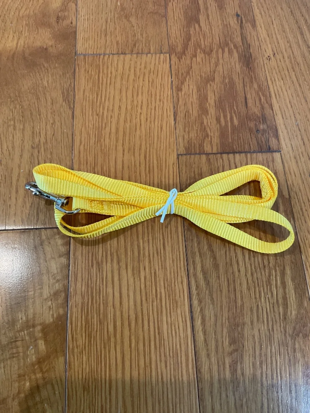 Yellow Small Pet Leash